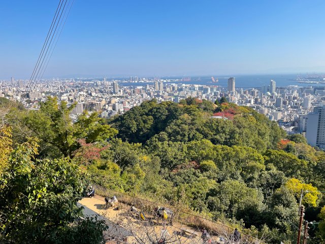 no description available