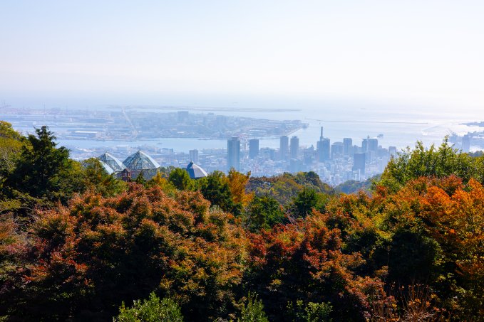 no description available