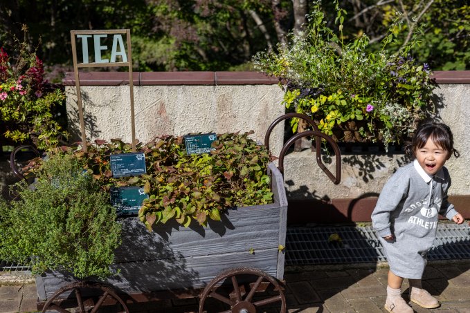 no description available