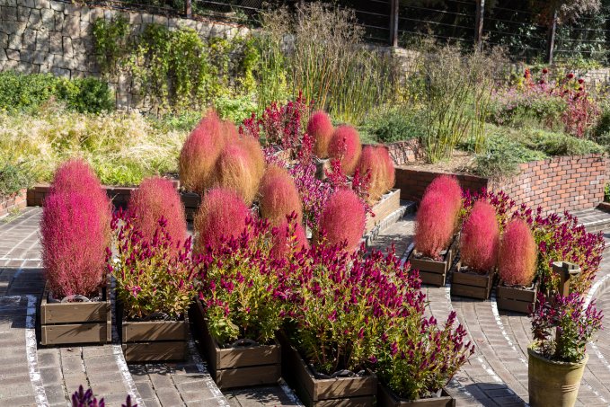 no description available