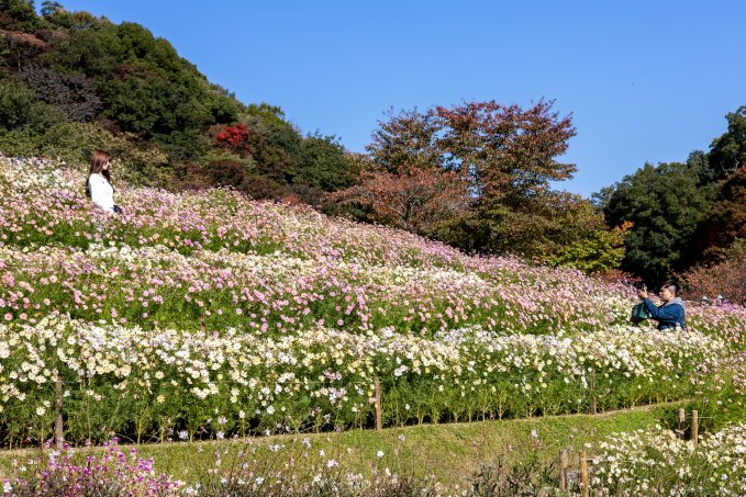 no description available