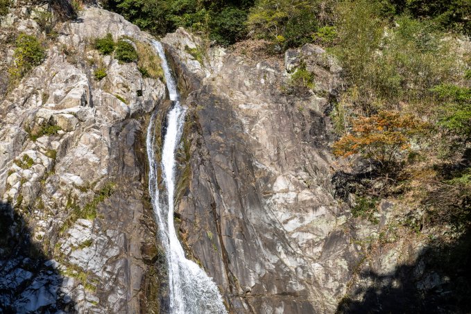 no description available