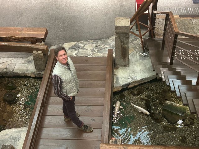 no description available