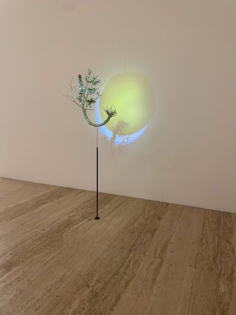 no description available