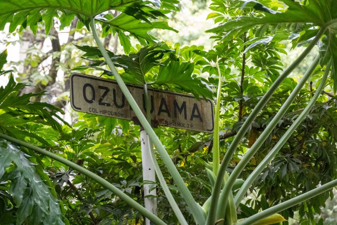 no description available