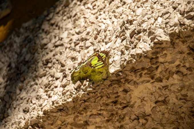 no description available