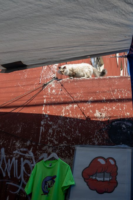 no description available